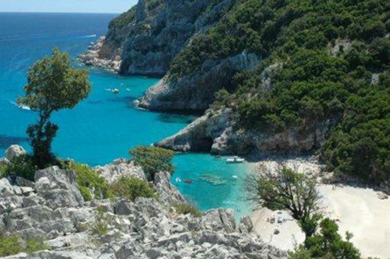 White Rose Suite Apartment Cala Gonone Εξωτερικό φωτογραφία
